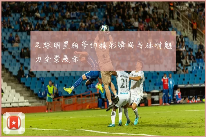 足球明星狗爷的精彩瞬间与独特魅力全景展示