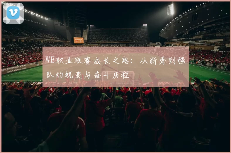 WE职业联赛成长之路：从新秀到强队的蜕变与奋斗历程