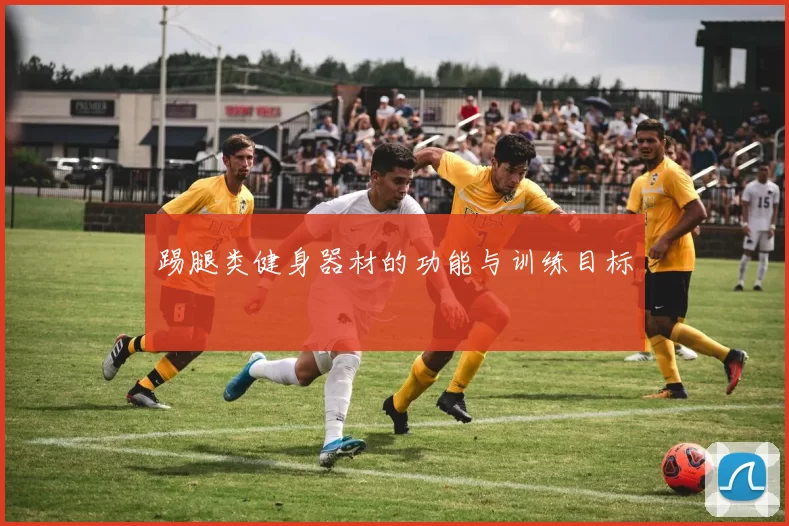 踢腿类健身器材的功能与训练目标