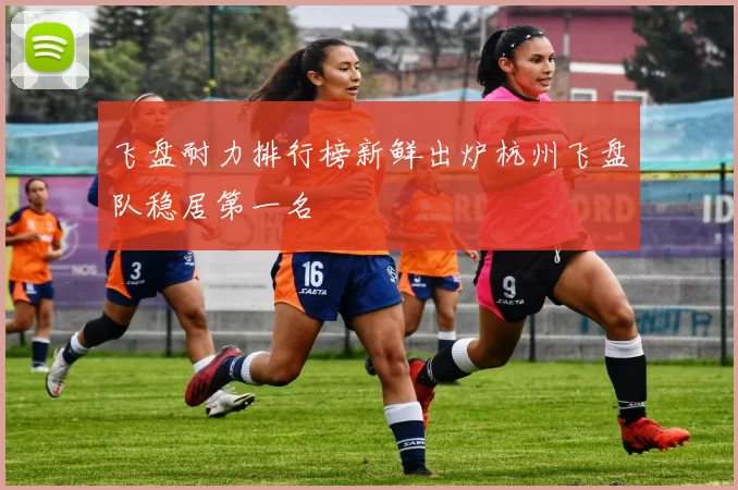 飞盘耐力排行榜新鲜出炉杭州飞盘队稳居第一名